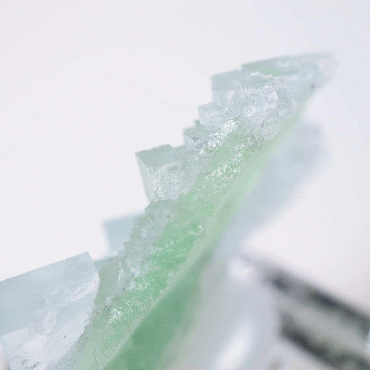 Marsanges�ۻ� �ե����饤��