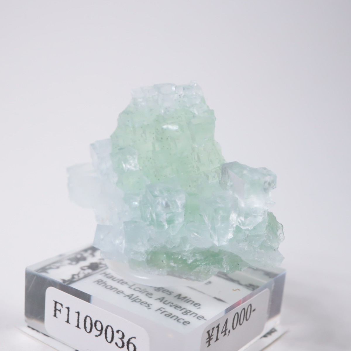 Marsanges�ۻ� �ե����饤��