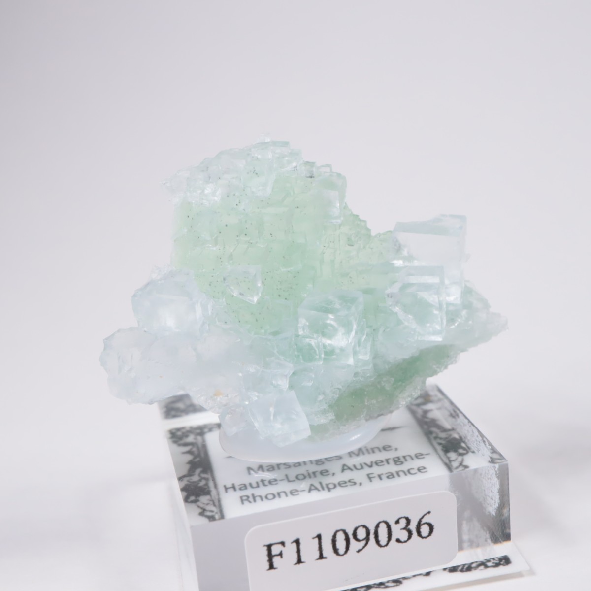 Marsanges�ۻ� �ե����饤��