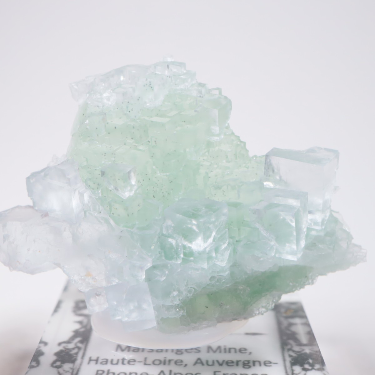 Marsanges�ۻ� �ե����饤��