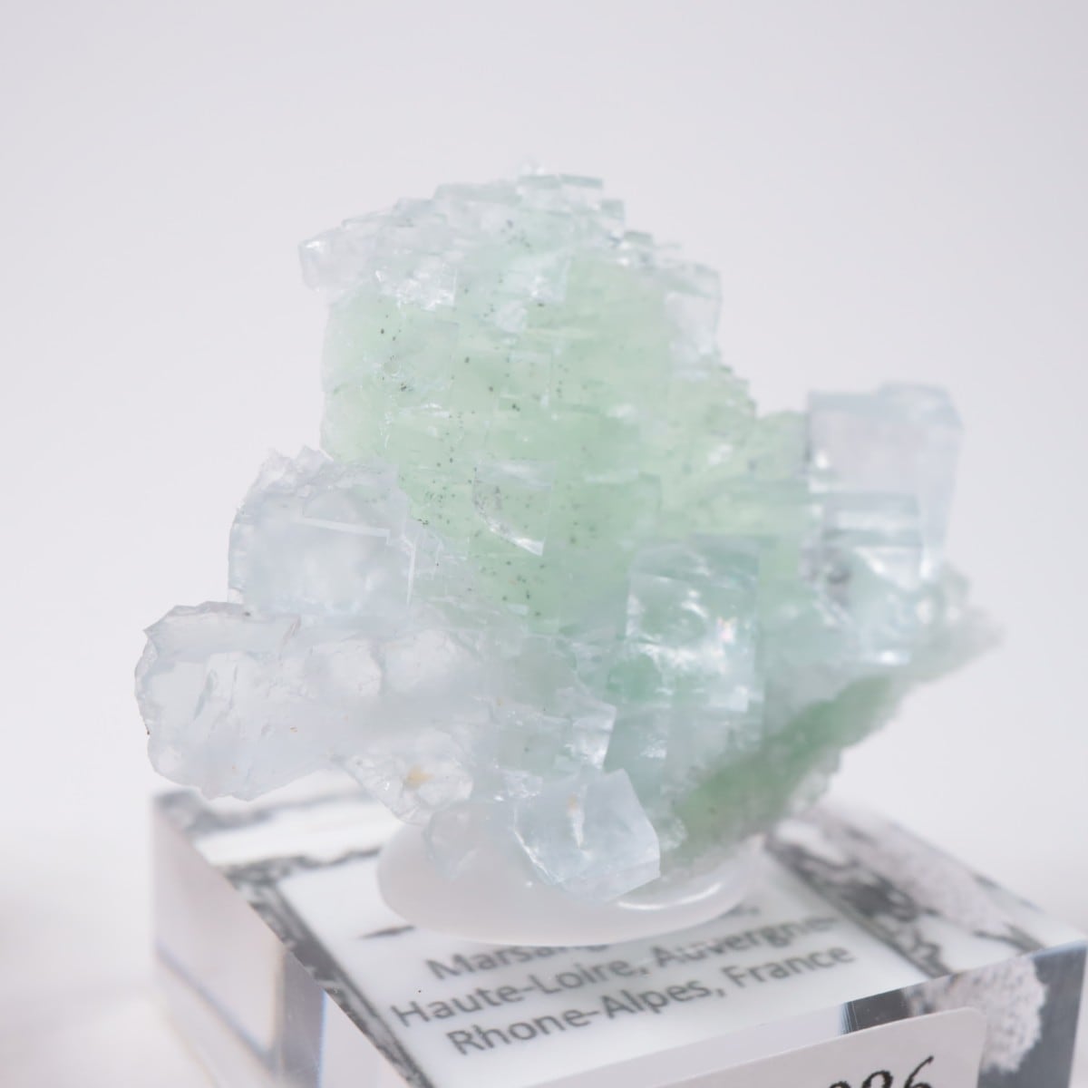 Marsanges�ۻ� �ե����饤��