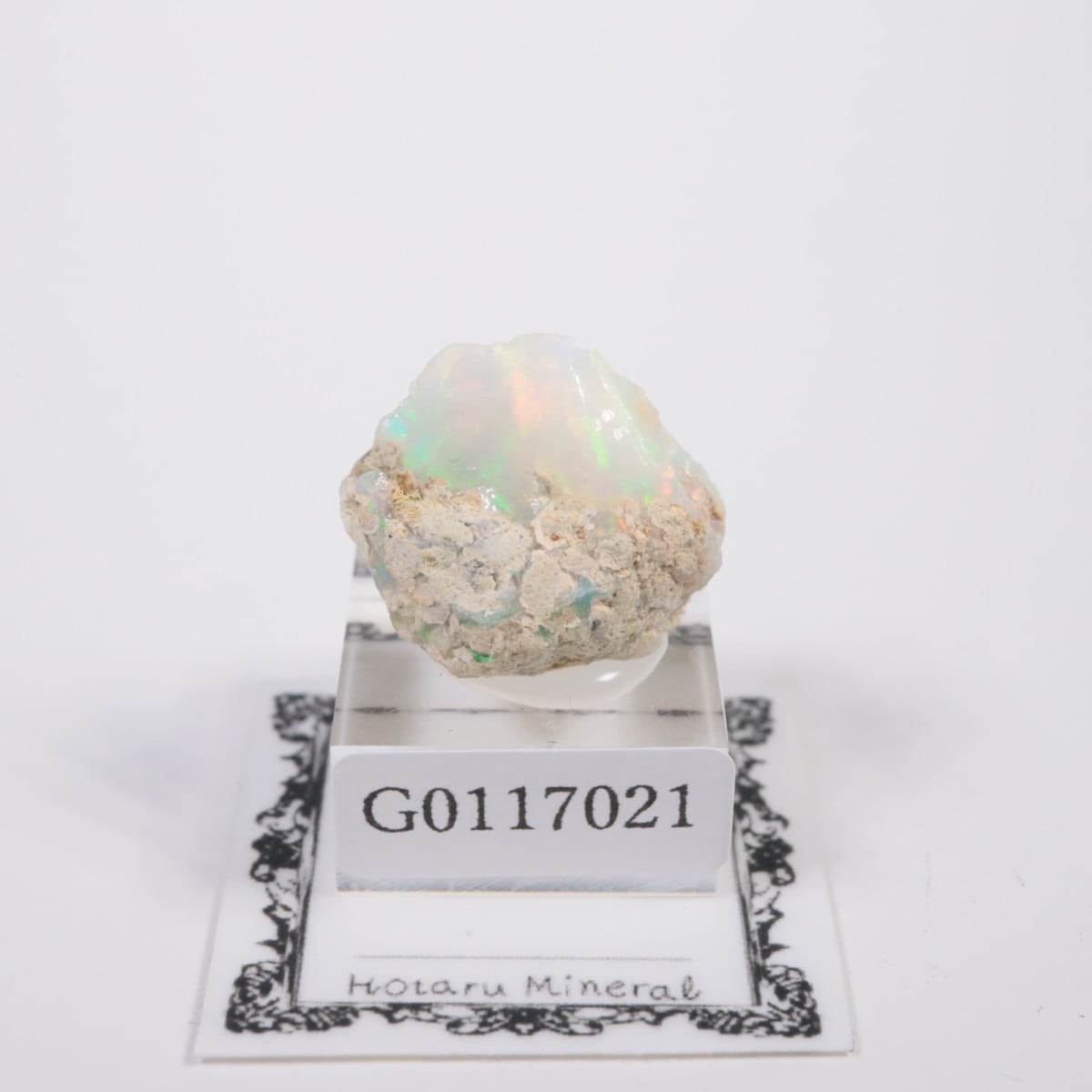 �������ԥ��� ���ѡ���