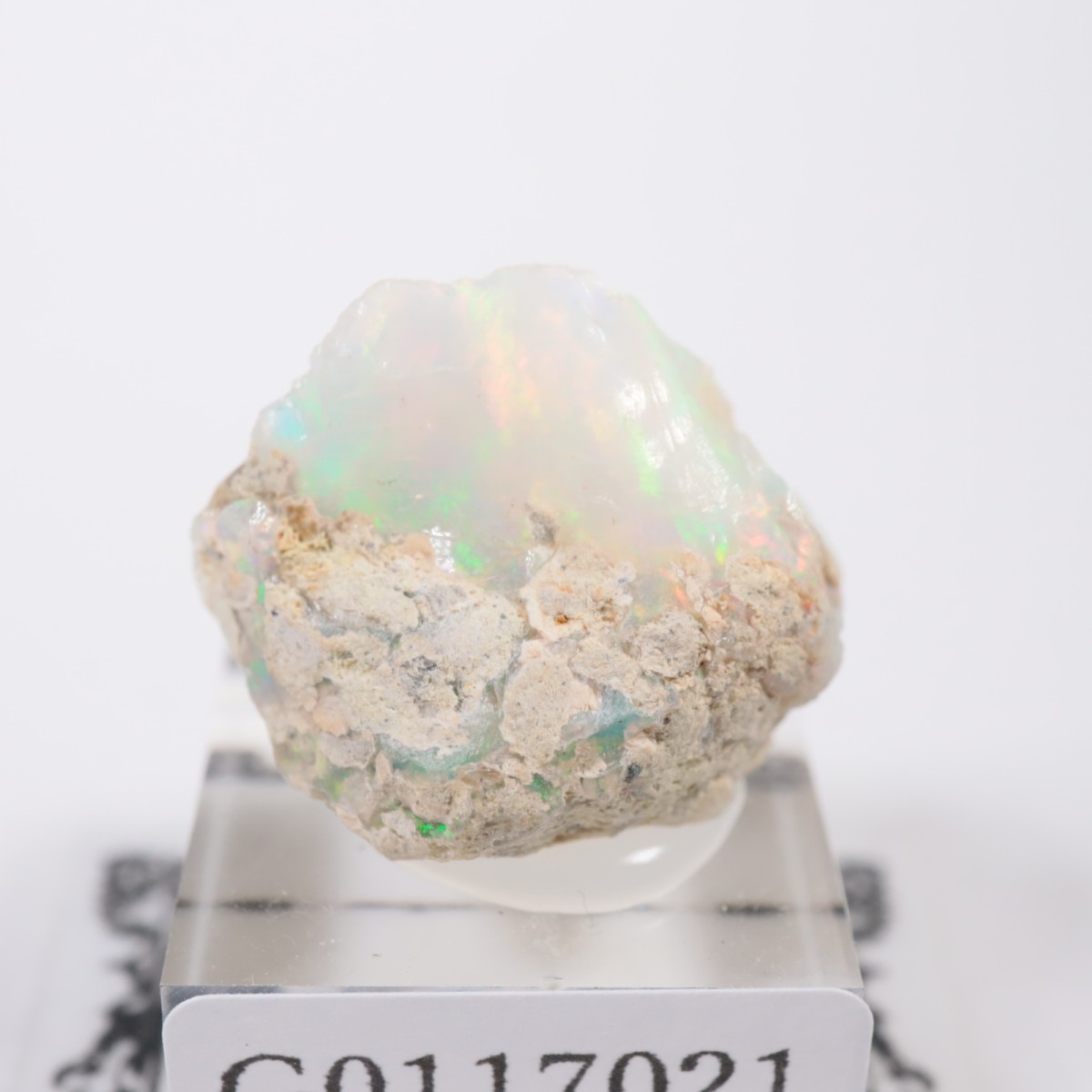 �������ԥ��� ���ѡ���