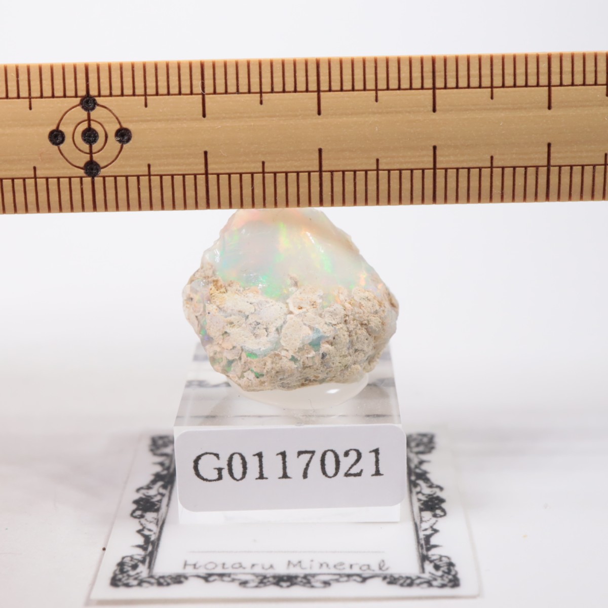 �������ԥ��� ���ѡ���