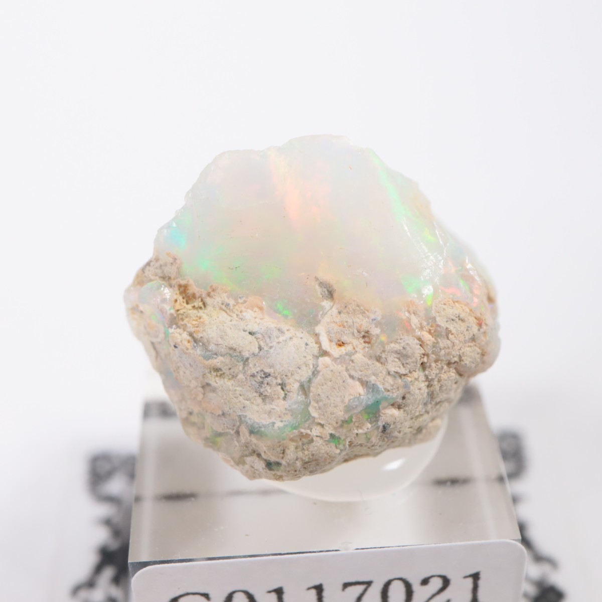 �������ԥ��� ���ѡ���