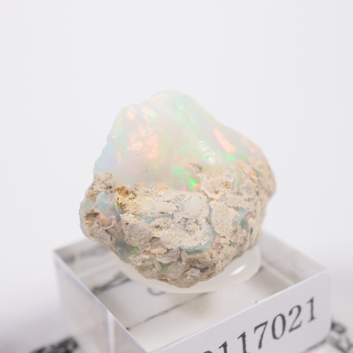 �������ԥ��� ���ѡ���