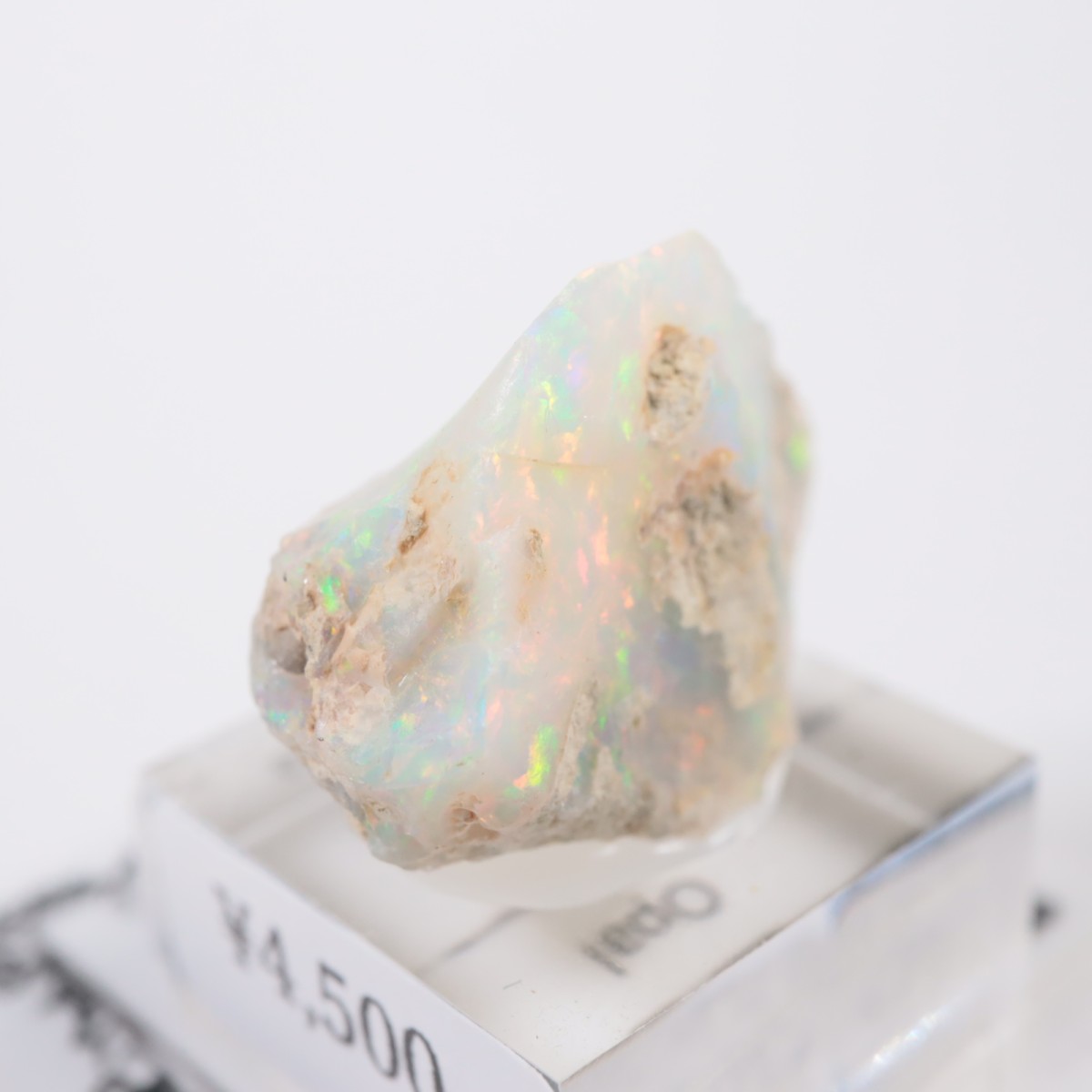 �������ԥ��� ���ѡ���