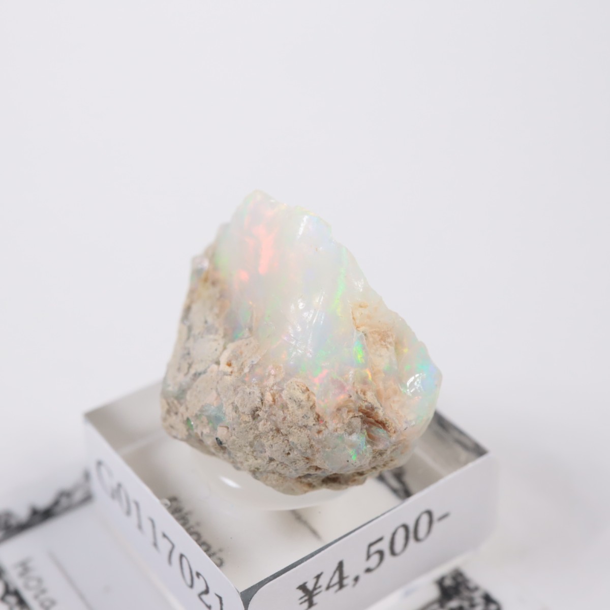 �������ԥ��� ���ѡ���