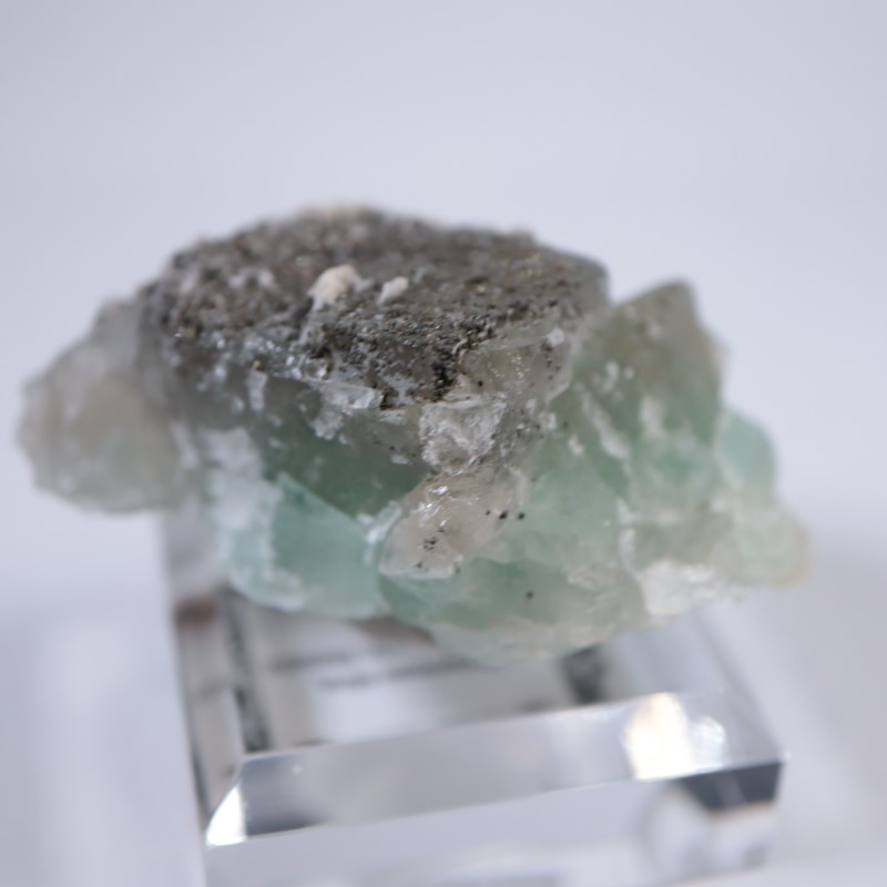 El Hammam�ۻ����ե����饤��