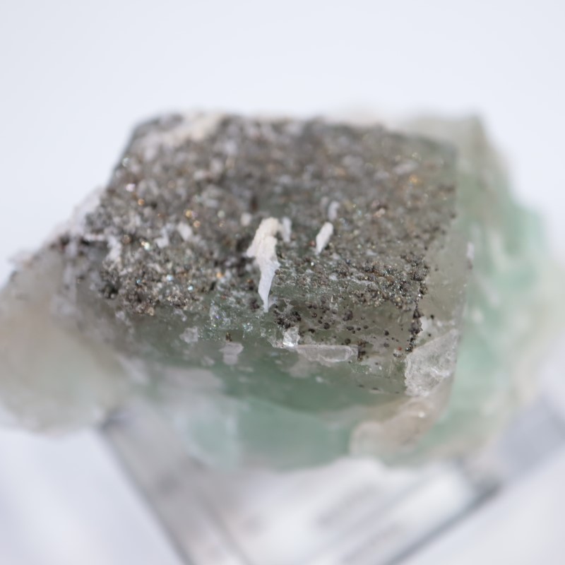 El Hammam�ۻ����ե����饤��