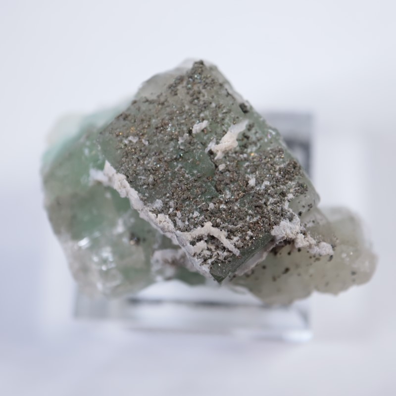 El Hammam�ۻ����ե����饤��