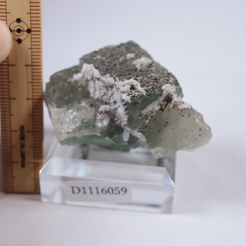 El Hammam�ۻ����ե����饤��