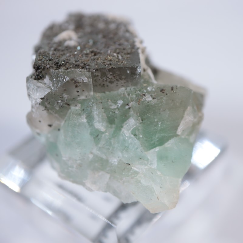 El Hammam�ۻ����ե����饤��