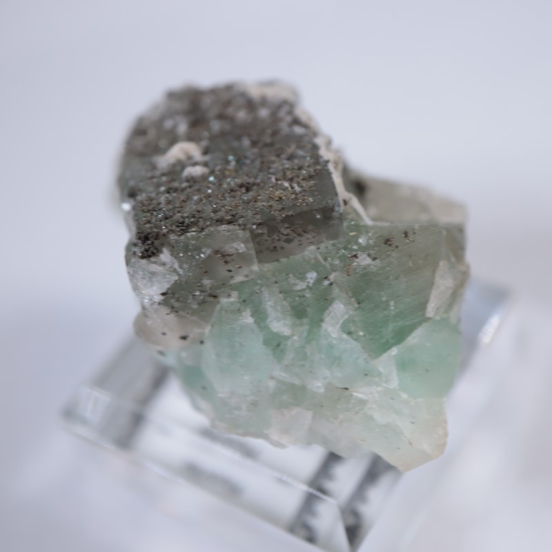 El Hammam�ۻ����ե����饤��