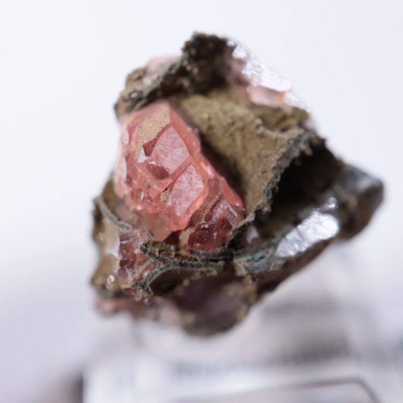 Santa Eulalia���������ɥ���������