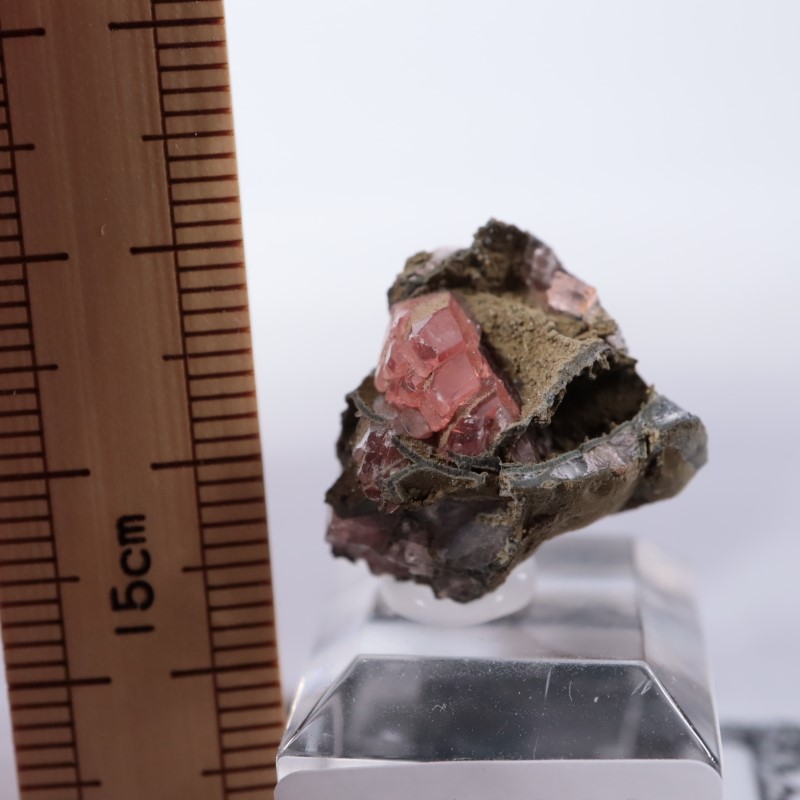 Santa Eulalia���������ɥ���������