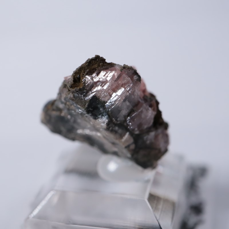 Santa Eulalia���������ɥ���������