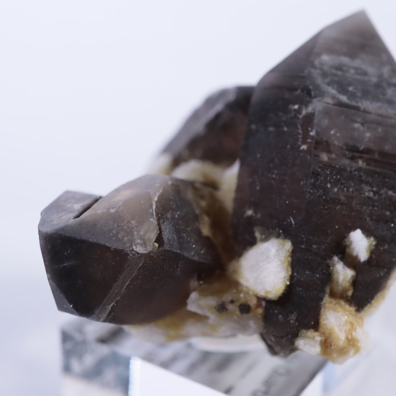 ����ǥ�����������徽