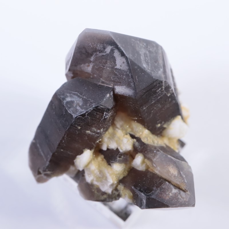 ����ǥ�����������徽