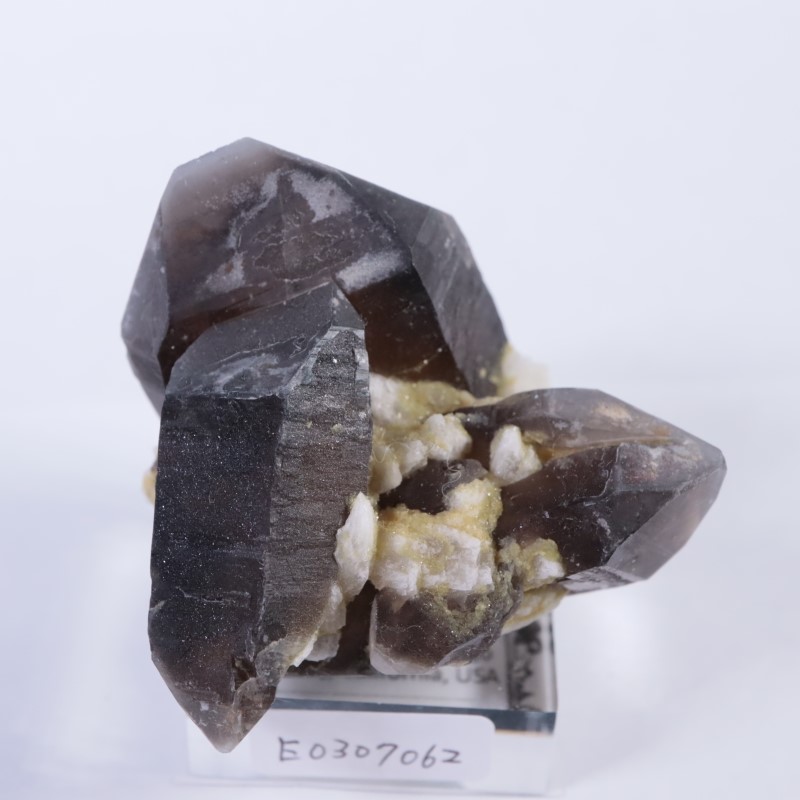 ����ǥ�����������徽