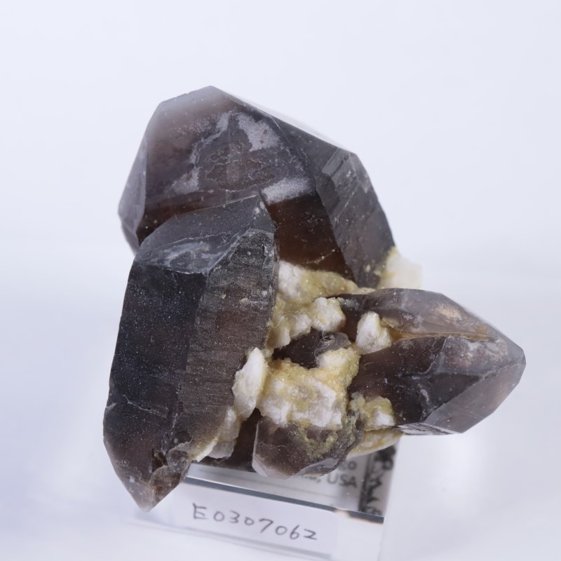 ����ǥ�����������徽