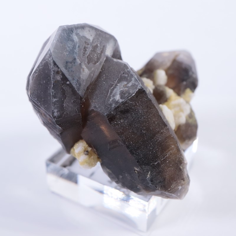 ����ǥ�����������徽