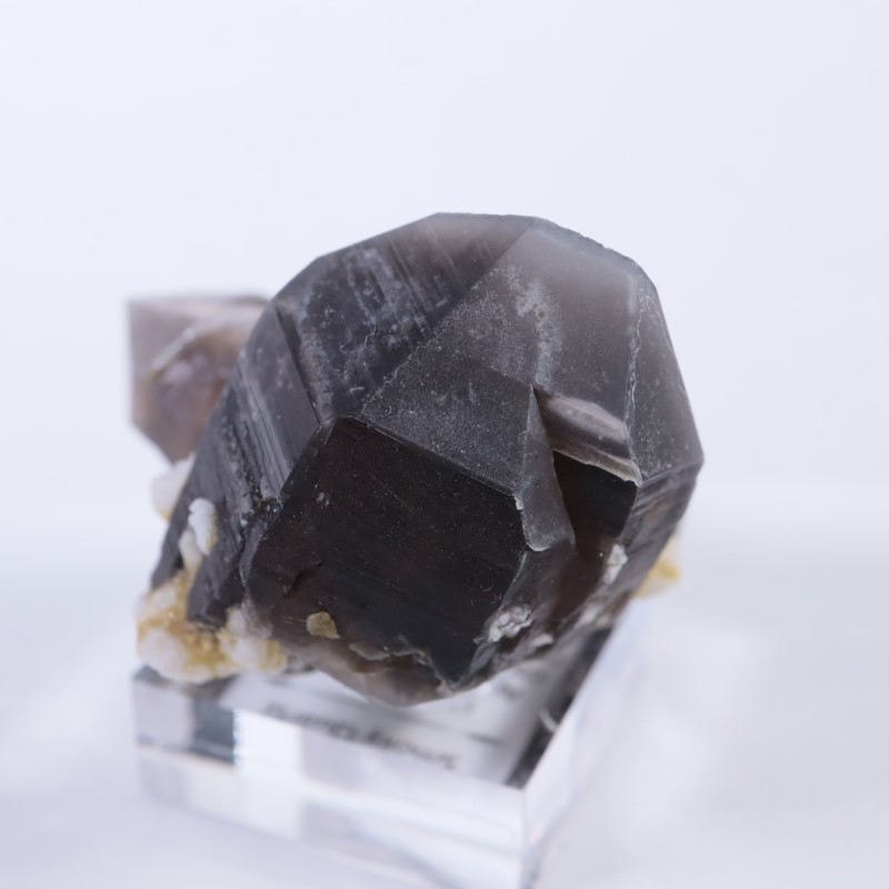 ����ǥ�����������徽