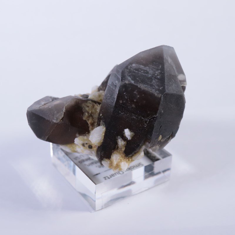 ����ǥ�����������徽