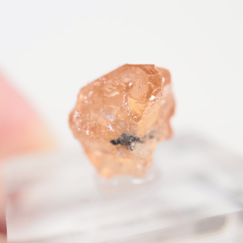 �����ե꡼�ۻ�����������顼�����ͥå�