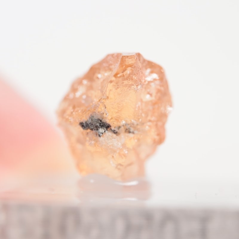 �����ե꡼�ۻ�����������顼�����ͥå�