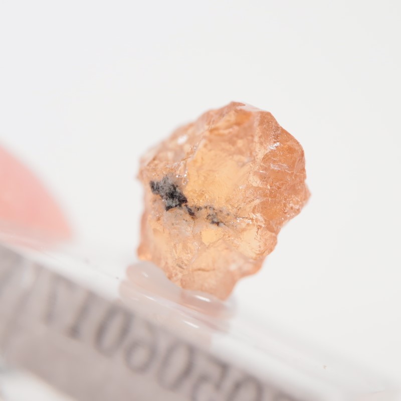 �����ե꡼�ۻ�����������顼�����ͥå�