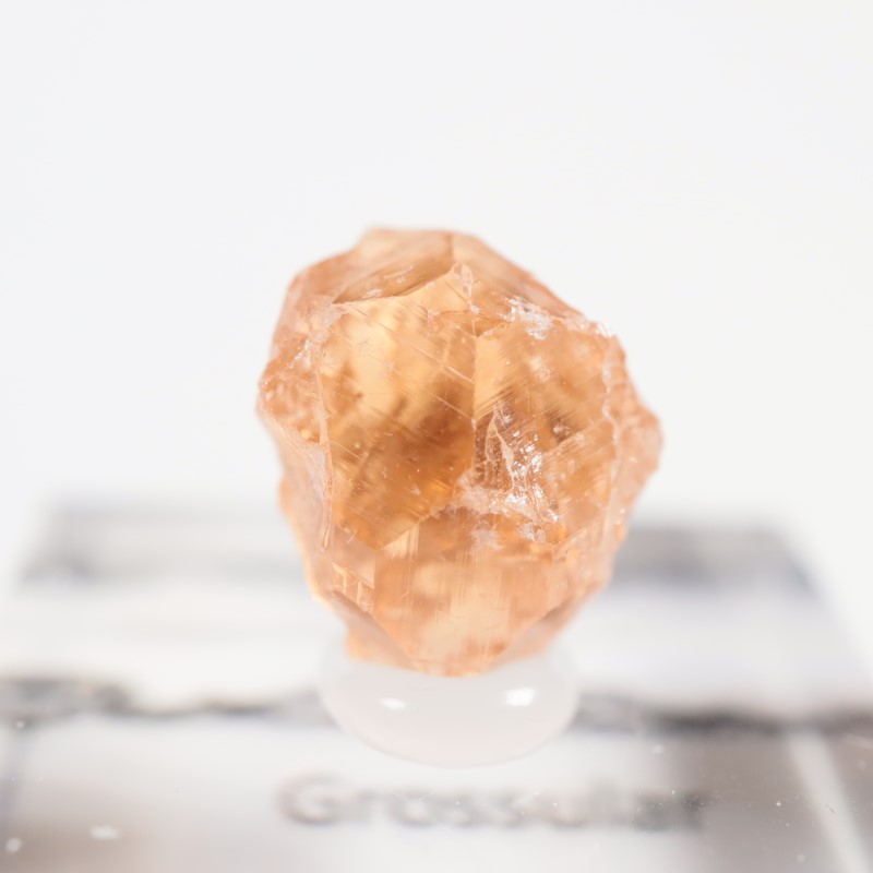 �����ե꡼�ۻ�����������顼�����ͥå�