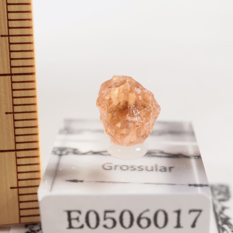 �����ե꡼�ۻ�����������顼�����ͥå�