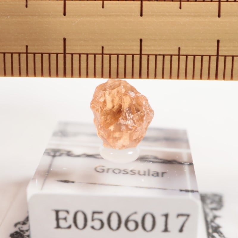 �����ե꡼�ۻ�����������顼�����ͥå�