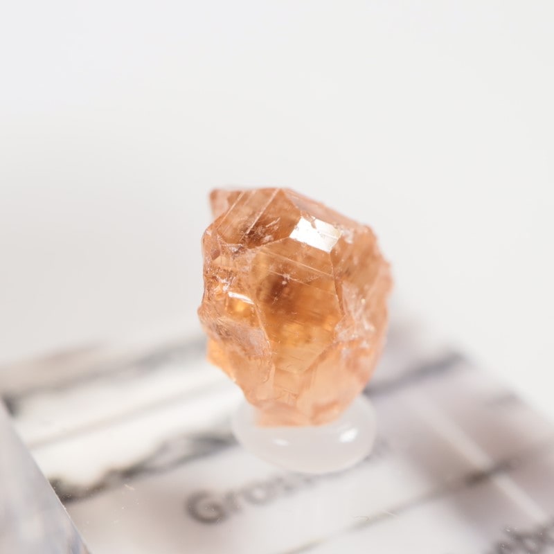 �����ե꡼�ۻ�����������顼�����ͥå�