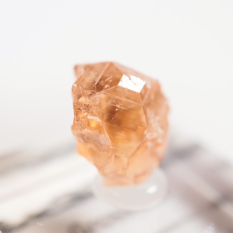 �����ե꡼�ۻ�����������顼�����ͥå�