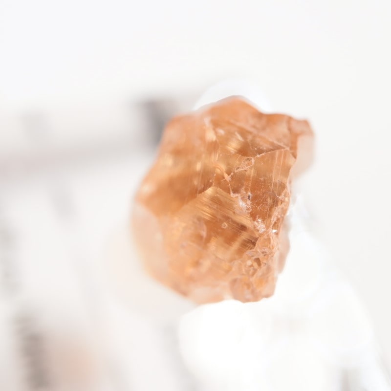 �����ե꡼�ۻ�����������顼�����ͥå�