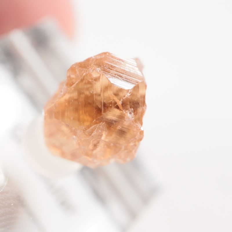 �����ե꡼�ۻ�����������顼�����ͥå�