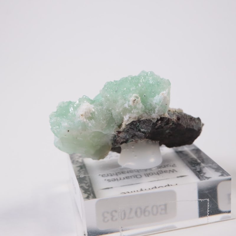 ����ɻ� ���ݥե��饤��