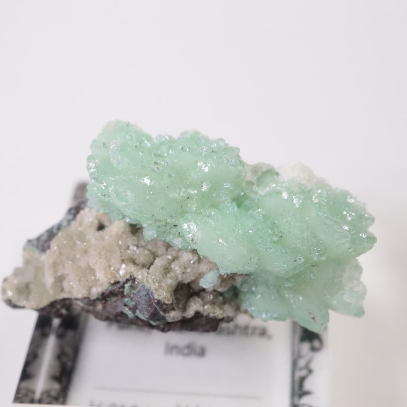 ����ɻ� ���ݥե��饤��