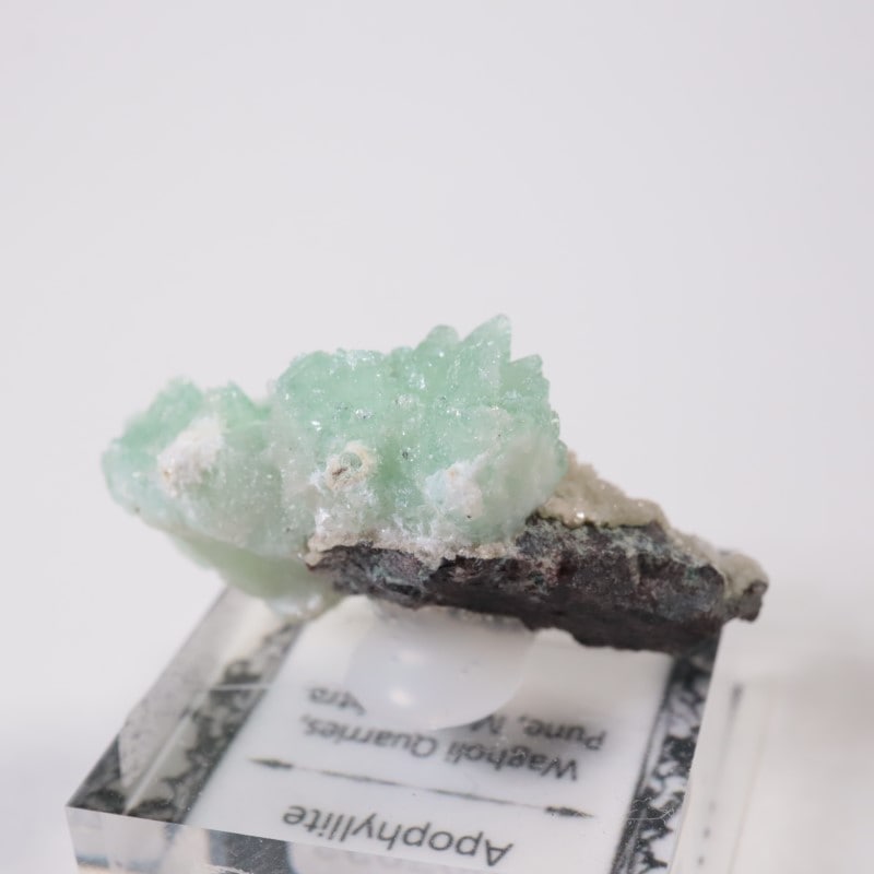 ����ɻ� ���ݥե��饤��