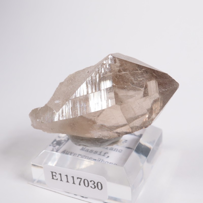 �ե�󥹻� ���⡼������������