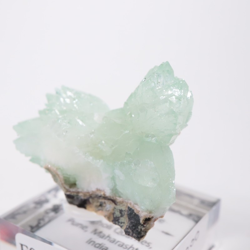 ����ɻ� ���ݥե��饤��