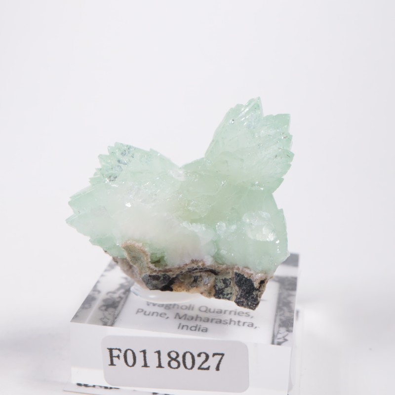 ����ɻ� ���ݥե��饤��