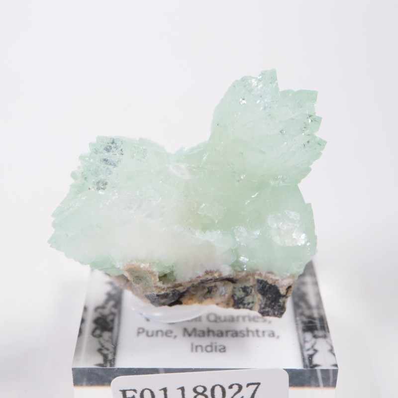 ����ɻ� ���ݥե��饤��