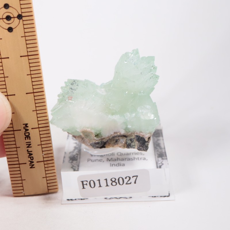 ����ɻ� ���ݥե��饤��