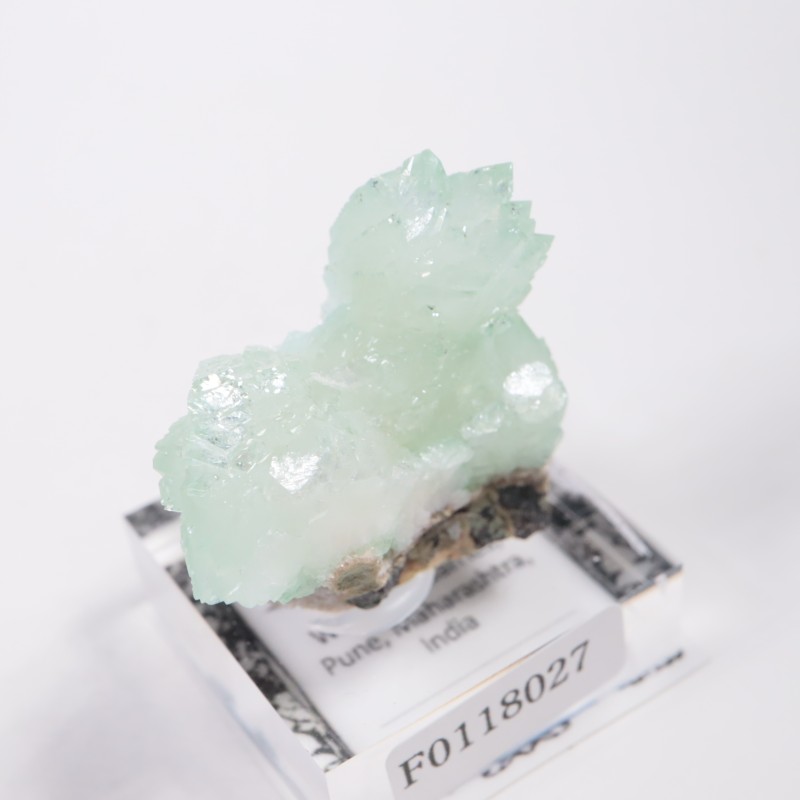 ����ɻ� ���ݥե��饤��