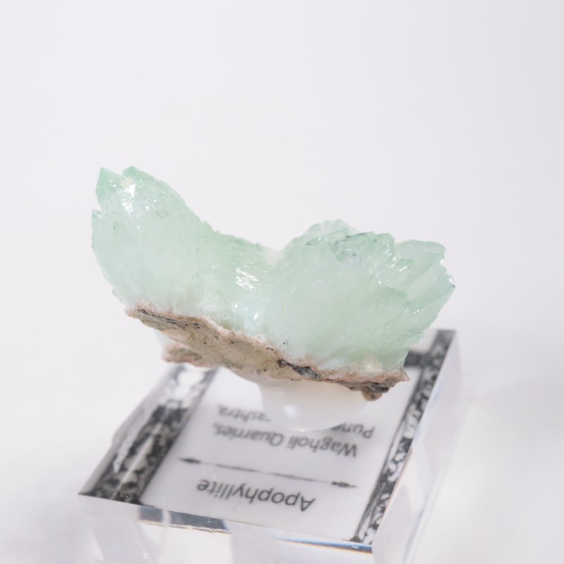 ����ɻ� ���ݥե��饤��