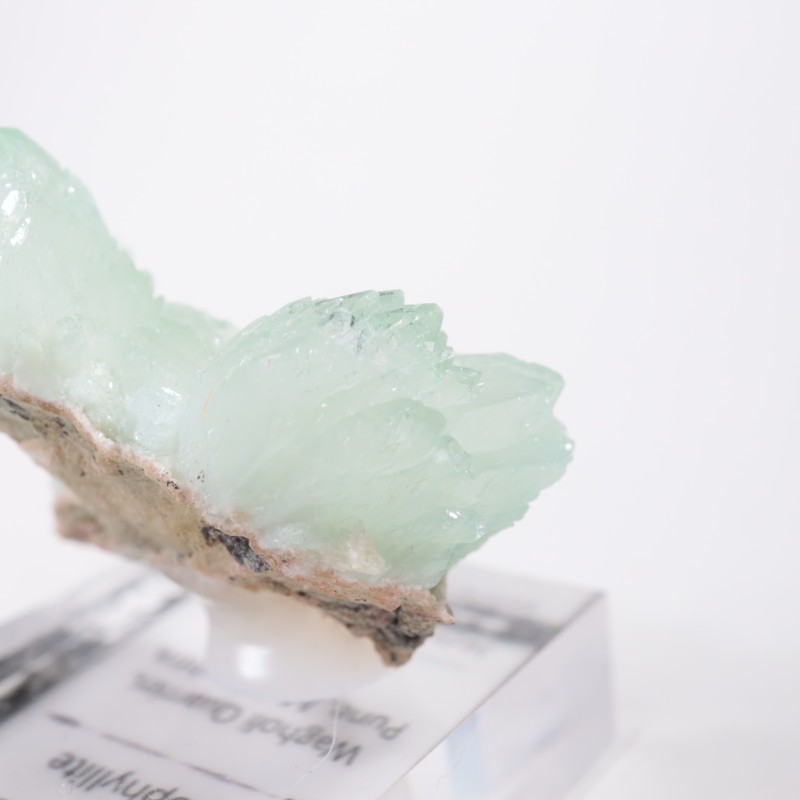 ����ɻ� ���ݥե��饤��