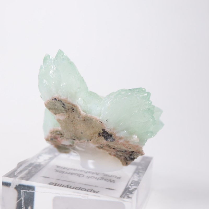 ����ɻ� ���ݥե��饤��